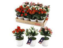 FF 114KTP ������������ ���������� �� ������������� ������