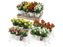 FF 115KP ������������ ���������� �� ������������� ������