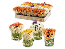 FF 61KOP ������������ ���������� �� ������������� ������ 11 ��