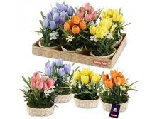 FF 62KIP ������������ ���������� �� ������������� ������