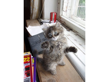 ���� (166).jpg