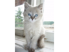 ���� (161).jpg