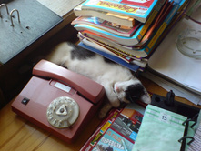 ���� (69).JPG