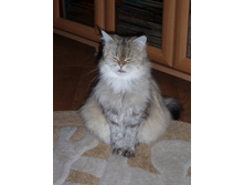 ���� (104).JPG