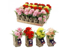 FF 62KVP ������������ ���������� �� ������������� ������