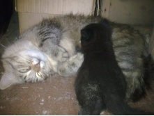 ����00520 (2).jpg