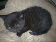 ����00520 (3).jpg