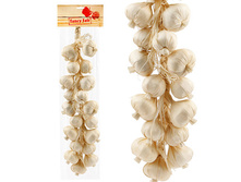 FF G60 ����� ������ � ������, 60��