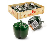 FF GP8 ����� �����, �������, d8��