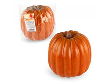 FF P21 ����� �����, d21��