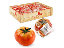 FF T9 ����� �����,  d9��