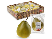 FF LI95-01 ����� ����� ������ 9,5��