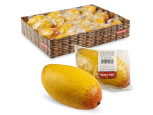 FF MG130 ����� ����� 13��