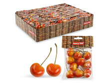 FF SCR30/10 ����� ������� 3�� 10 ��.