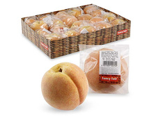 FF TZ90 ����� ������ 9��