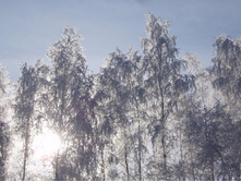 ���� (133).JPG