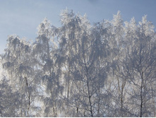 ���� (132).JPG