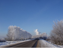 ���� (146).JPG