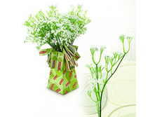 FF GPS55 ���������, 55��