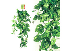 FF HST/A110 ����� ���������, 110��