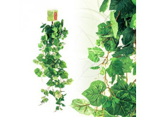 FF PL/A110 ���� ����������� ���������, 110��