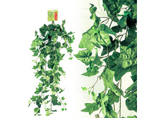 FF PL/A110-1 ���� ���������, 110��