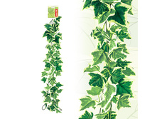 FF PL/L180 ����� ���� �����������, 180��