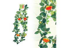 FF RS/L150 ����� ���� � �������, ����, 150��