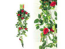 FF RS/A110 ���� ���������, 110��