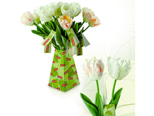 FF TLP55 ������� ��������, ����, 55��