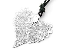 ����� ���� ���������� ����� ����� (�������) 1650