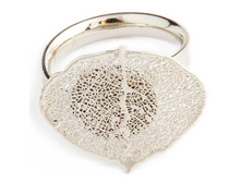 ������ ���� ����� (�������) 1650