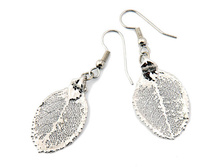 ������ ���� ���� ������� (���������)  2350