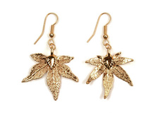 ������ ������ ��������� ����� ��. ������ (���������)  2350