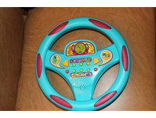 ���� �����������