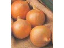 ��� ������ ����, ������� 6,70 ���..jpg