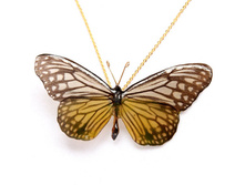 ����� �� ������� ������� (�� �������)  BF002Ach 1500