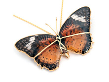 ����� �� ������� ����� � ������� ���������� (�� �������)  1600