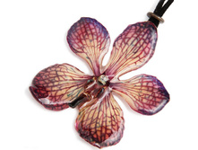 ����� �� ������� ������ (�������)  BFF02AM 1550 �