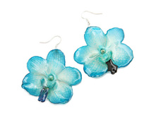 ������ �� ������� ������� (�������)  BFF08CL 2000 �