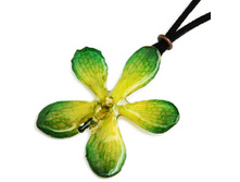 ����� �� ������� ������ (�������)  BFF11AM 1550�