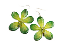 ������ �� ������� ������ (�������)  BFF11CL 2000�