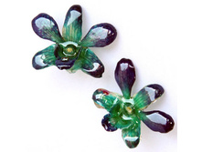 ������ �� ������� ����� (�������)  BFF14CCL       2000�