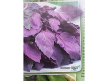 ������� ����.jpg