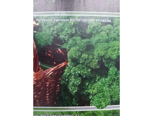 �������� �������� ���������� �������.jpg