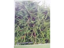 ����� ����������.jpg