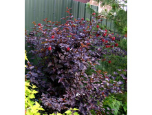 ������������� ������������� ������.jpg