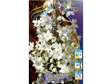 �������� �������