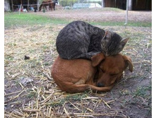 ��� ��� �� ����� �����