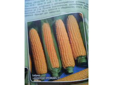 �������� ������� ������.jpg